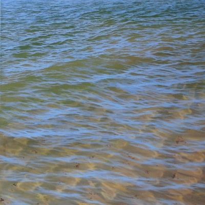 Reflections IV